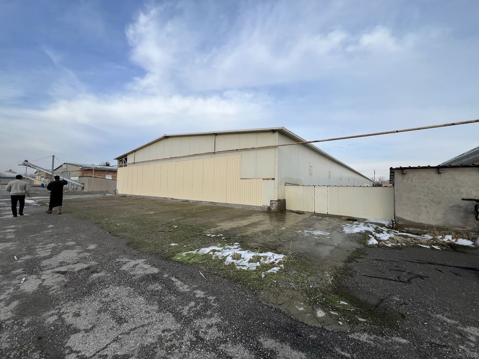 Tovuqxona va xizmat binolari