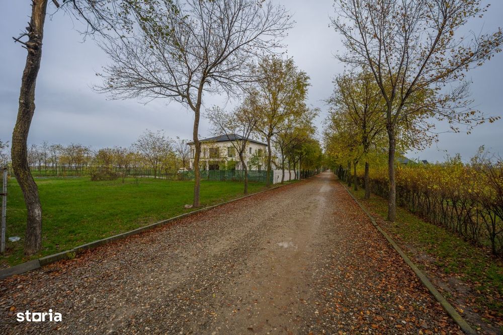 Teren intravilan de vanzare | Cartier rezidential deosebit | Afumati