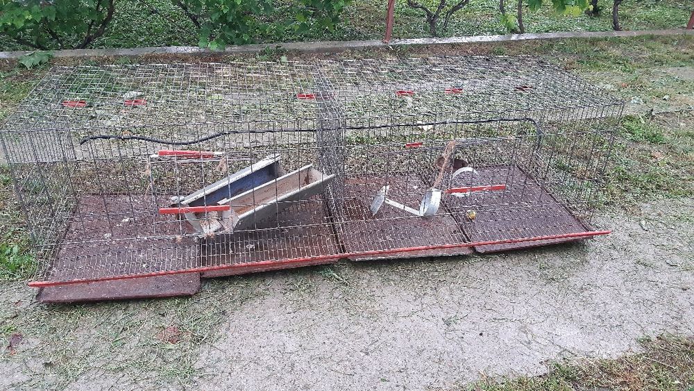 Cusca găini,iepuri... /schimb