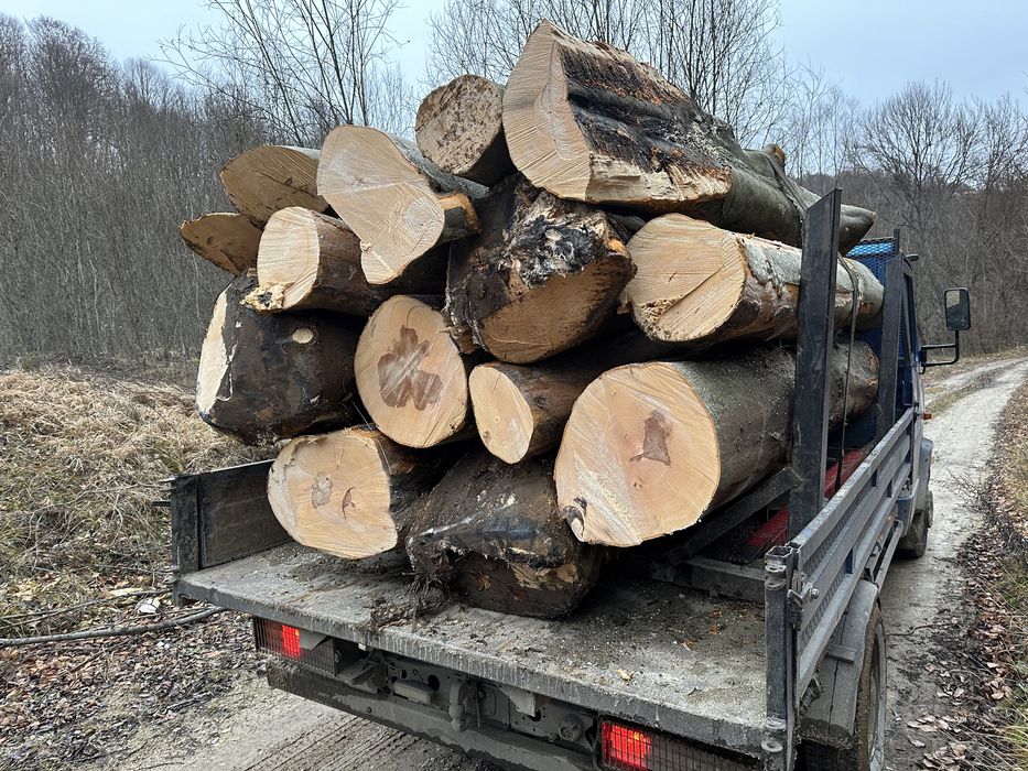 Matrial lemnos Pentru  centrale