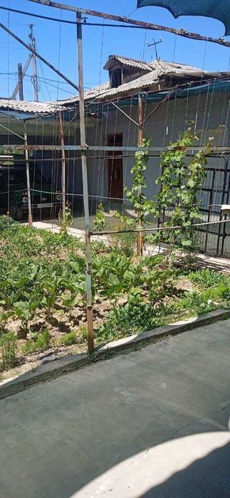 Uy sotiladi Nurafshonda