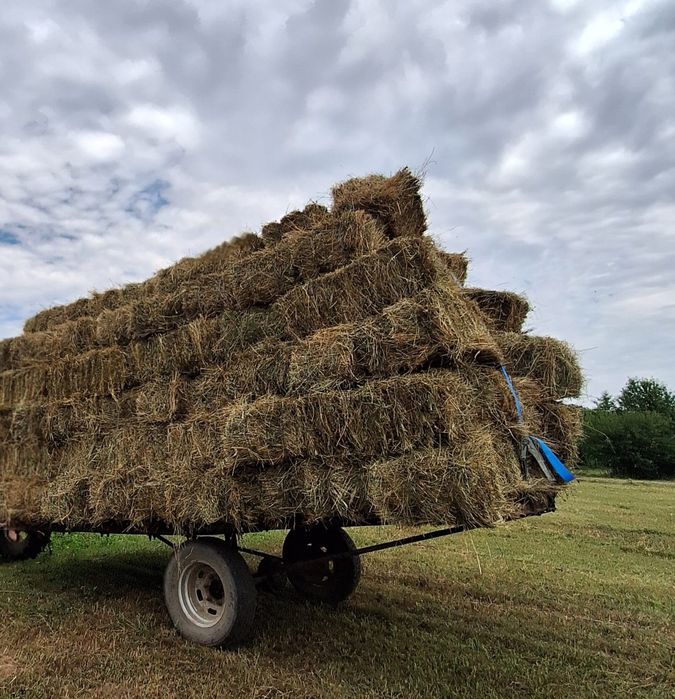 Vând baloți de fân
