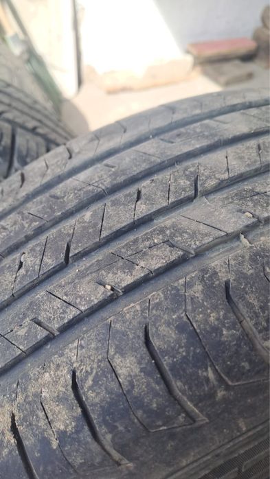 Шины литние. Жазғы дөңгелек