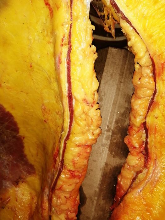 Мясо конина на согым