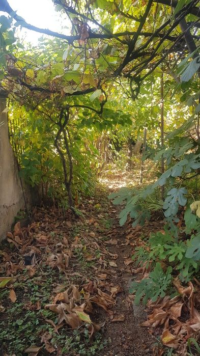 Продава се Къща в Кюстендил, Колуша - 150 кв.м за 400 €/кв.м - Снимка #4