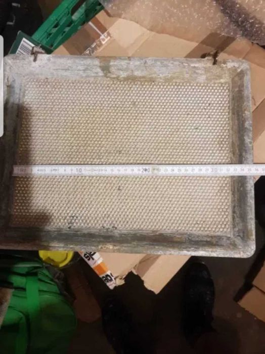 Presa Faguri Ceara Albine