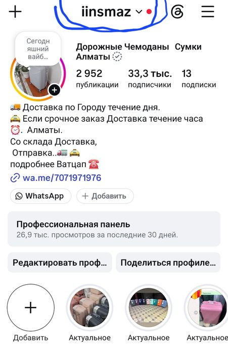 Дорожные Чемоданы Сумки Алматы. Доставка.
