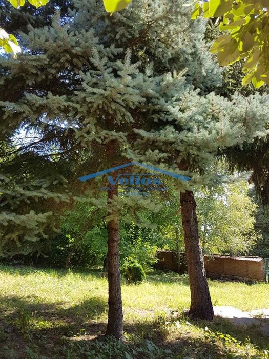 Продава се Къща в с. Хайредин, Област Враца - 180 кв.м за 99 €/кв.м - Снимка #2