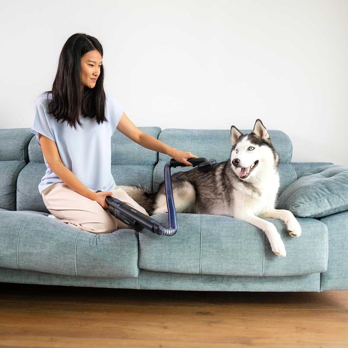 Прахосмукачка Cecotec Scoba 2100 TwiceAnimal, 20kPa, 210W,двойна глава