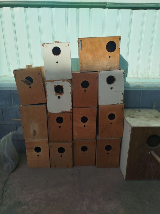 Дублёнка для валнистых попугаев