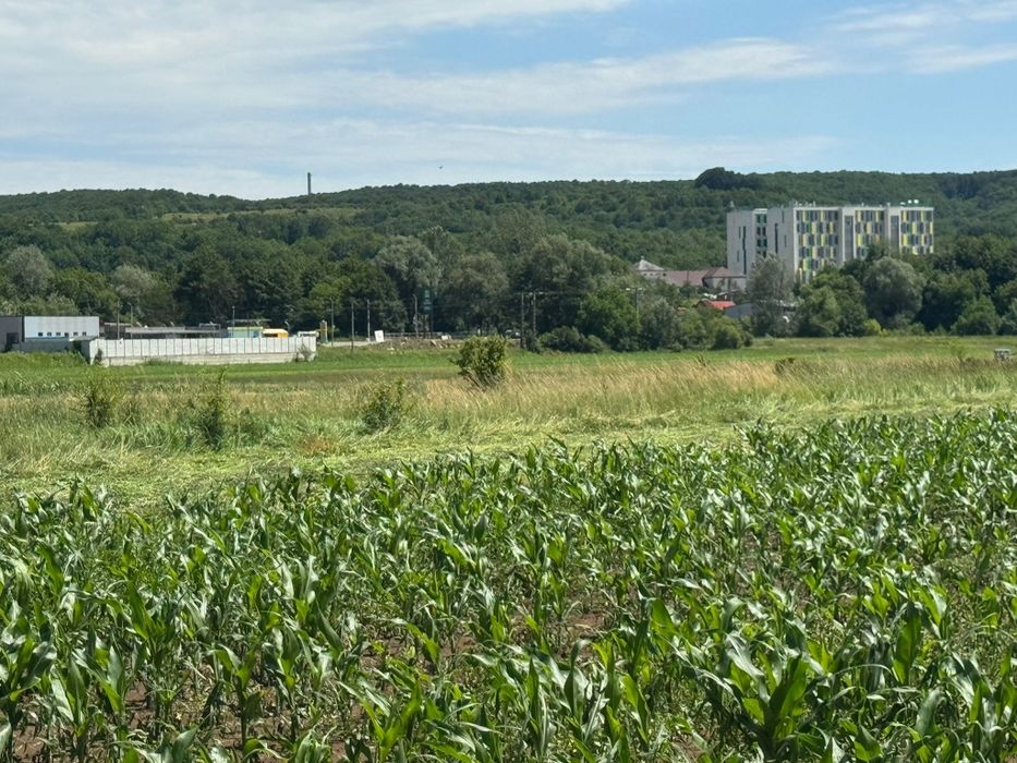 Teren 8.800mp Mioveni / acces drum public / utilități aproape / investiție