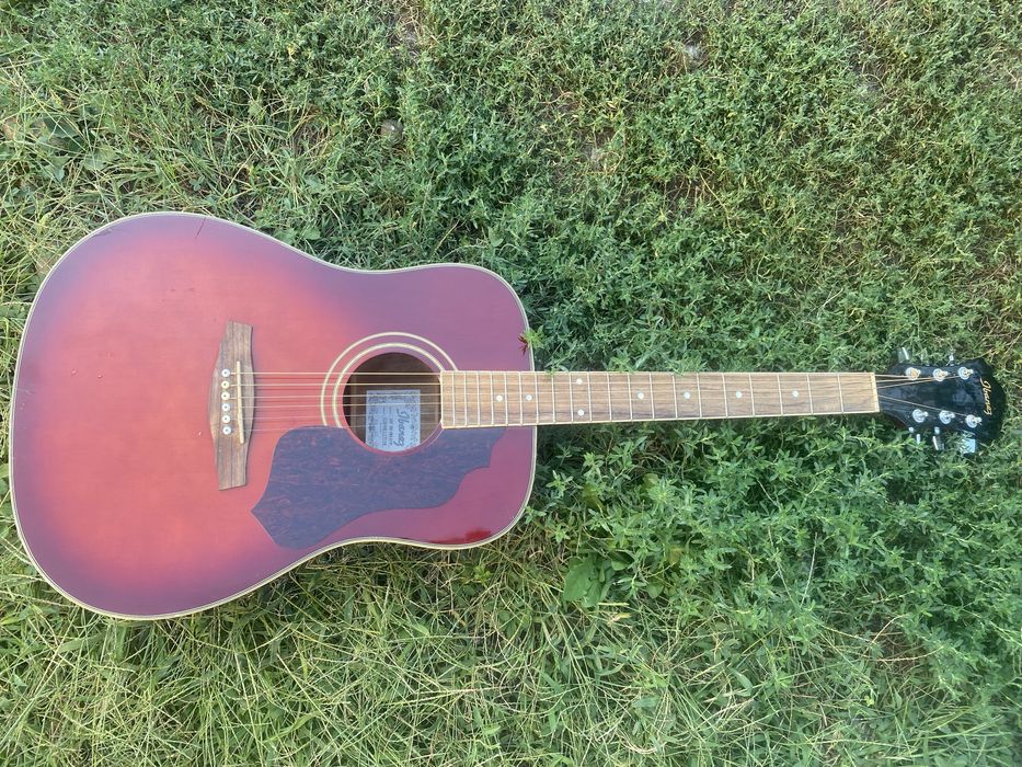 Ibanez SGT120E.