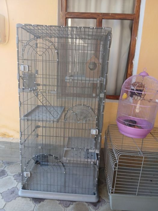 Qapas boyi 1,5 metir keyin quyoniyam uy bor