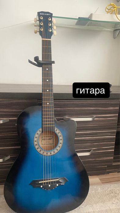 разные две гитары , belcat akusrik