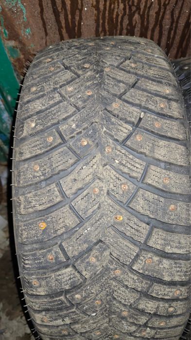 Шипы в отличном состояни