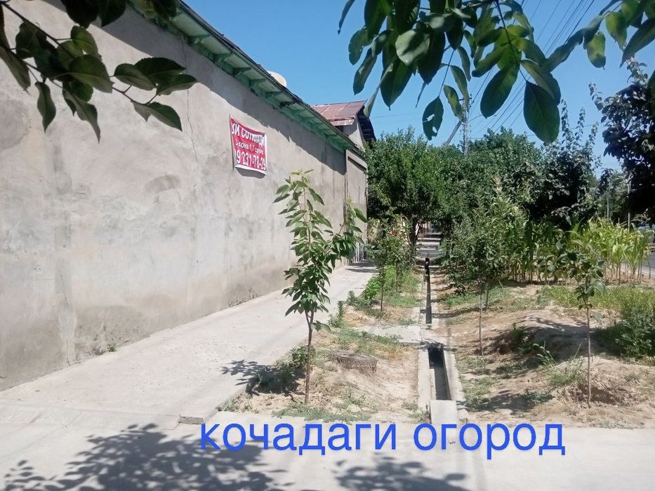 Уй сотилади. Арча куча.  Ер учаскаси