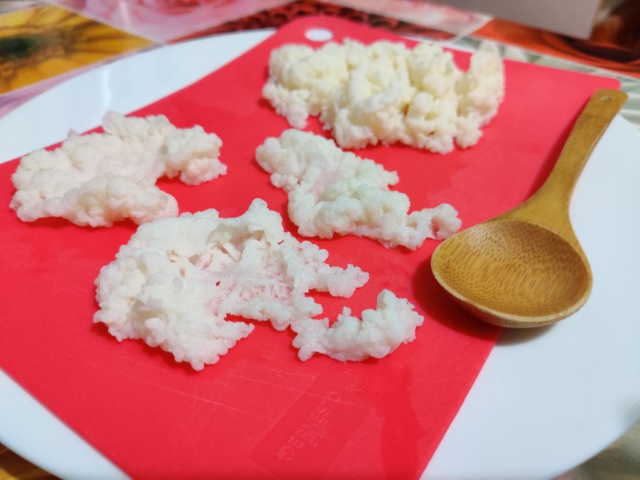 Kefir NATURAL 100%, acasă la tine, (Chefir de lapte din Caucaz)