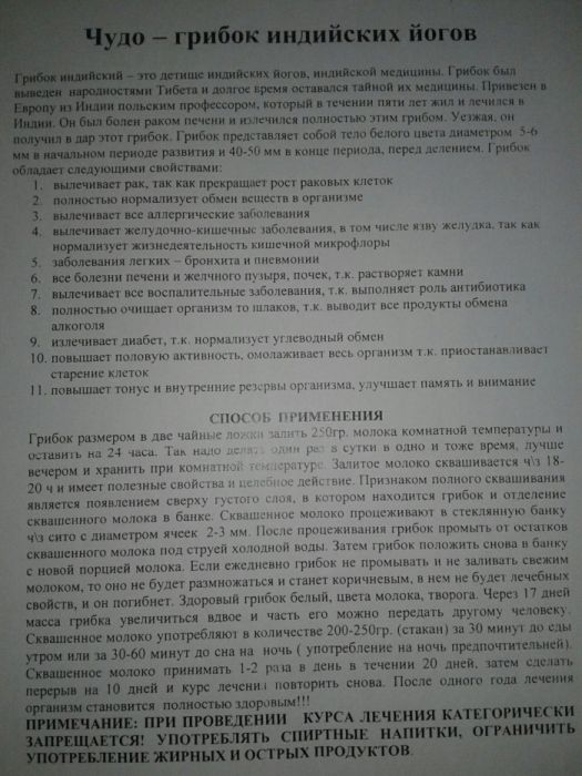 Молочный гриб полезный