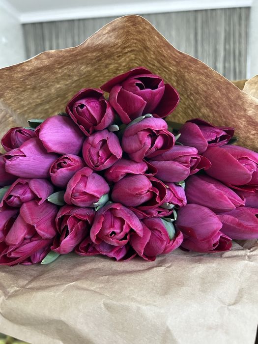 Голландские тюльпаны Оптом и В розницу!