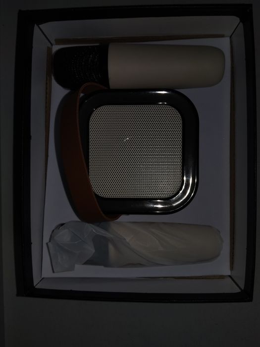 Караоке с микрофонами