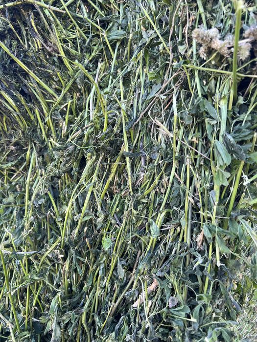 Baloti lucerna uscata 1,2 x 1,8 m 450 kg