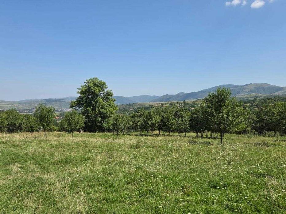 Teren intravilan de vânzare – Cacova Ierii, județul Cluj
