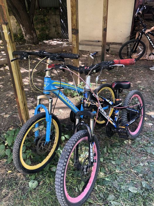 Два велика , седланные под проект