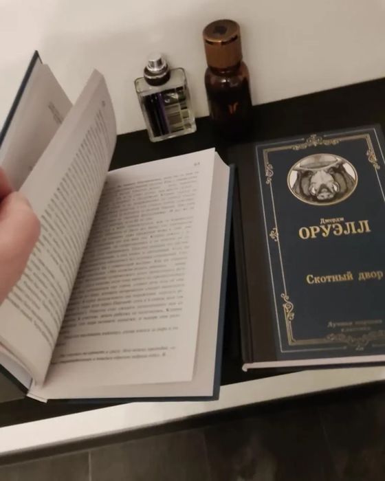 Книги, доставка по Тобылу!