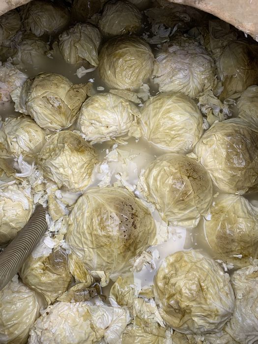 Varza murata româneasca cu foaie subtire