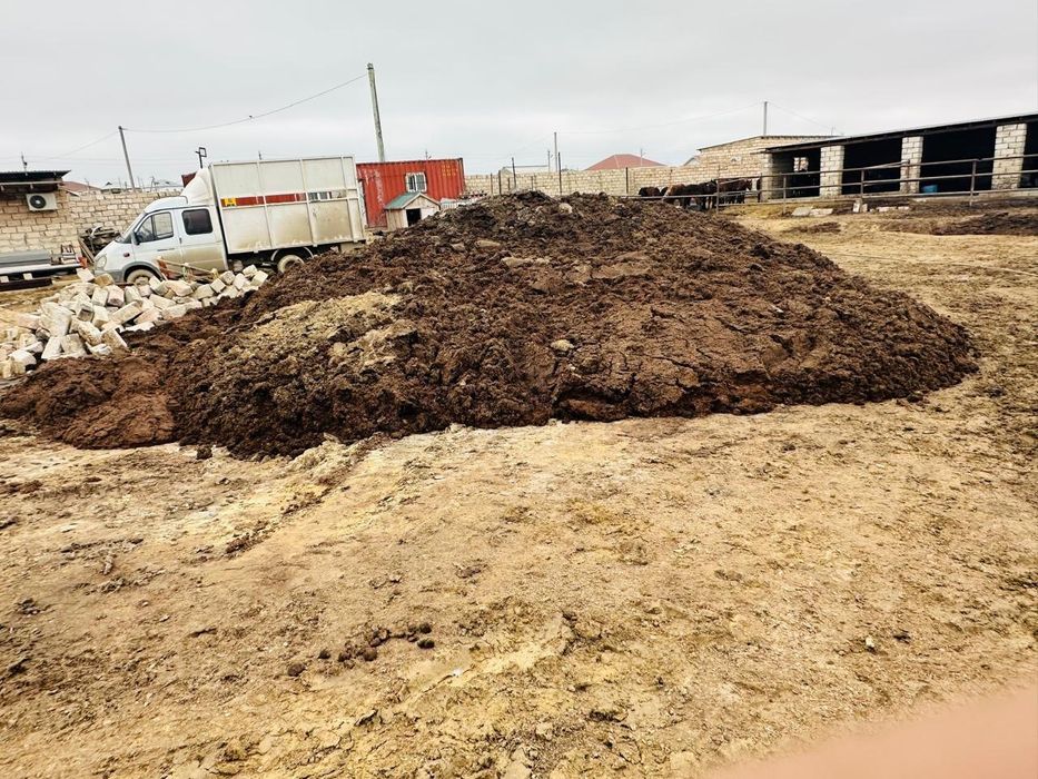 Жылқының тезегі (навоз)