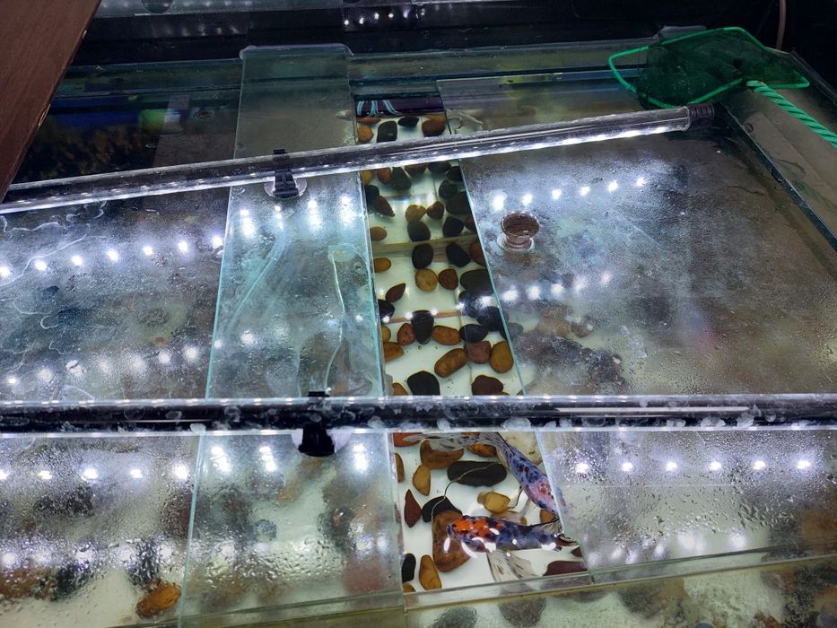 Продам аквариум на 300 литров