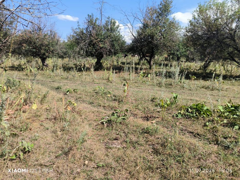 Перспективный участок