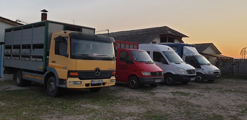 Transport animale vii .vaci cai porci oii.etc.intern extern