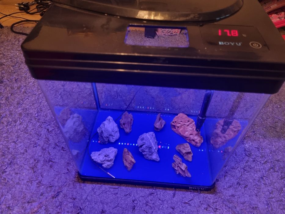 Vând acvariu pești