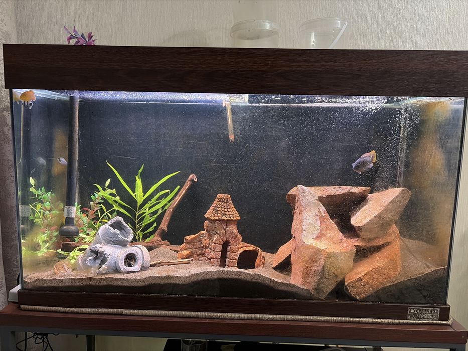 Продам большой аквариум 150 литров комплектом