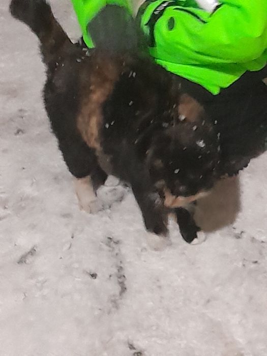 Пожалуйста срочно помогите