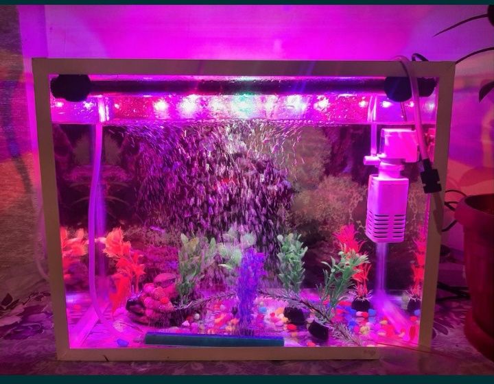 Акварюм сатылады