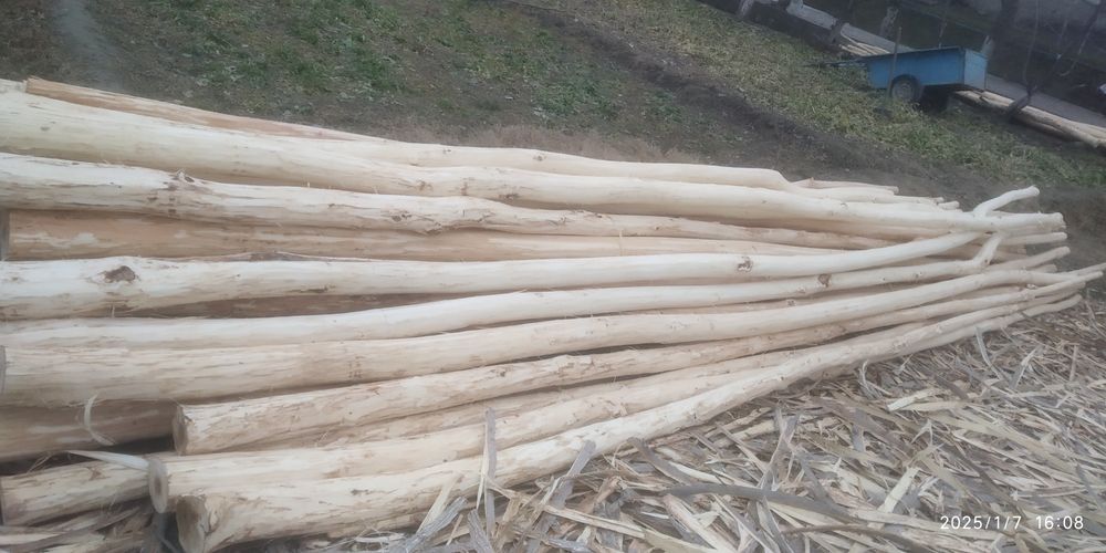 Strapela sotiladi 620 sm uzunligi