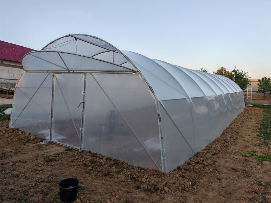 Sere solarii Flori Legume Solar