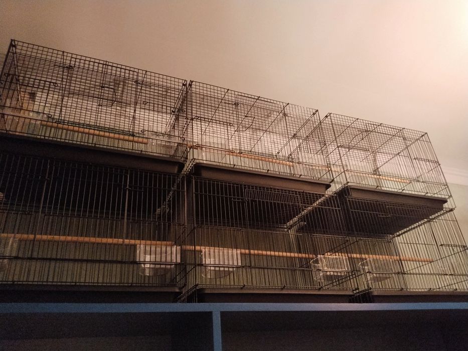 Клетки на продажу