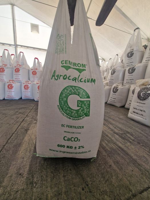 Carbonat de Calciu,  Sulfat de Calciu,  Dolomita