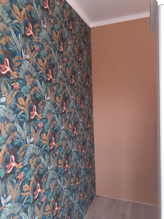 (ольга)обои.эмульсия.