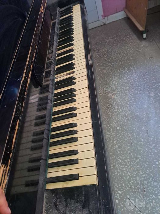Pianina sotiladi holati ortacha