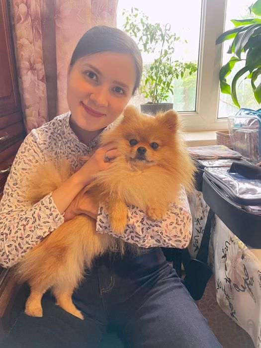 Передержка питомцев