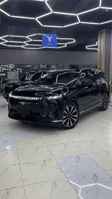 Dongfeng 008 res
