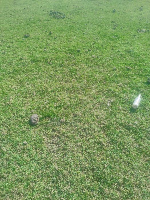 Tabiiy chim va ajriq