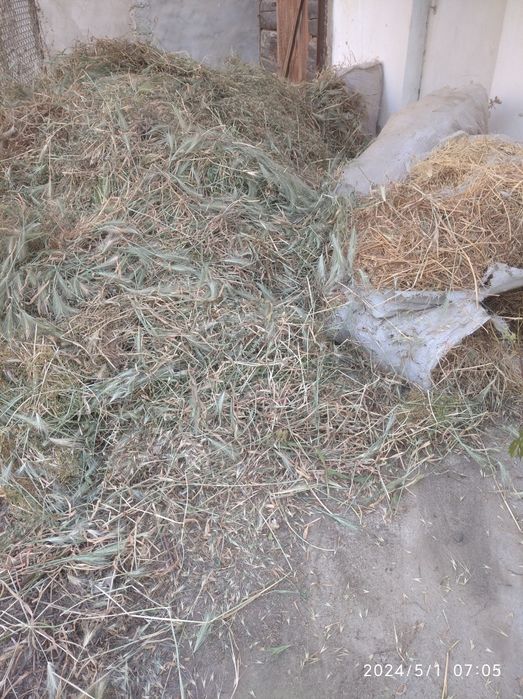 Терилган ут сотилади. Битта лабога сигади. Продается скошенная трава с