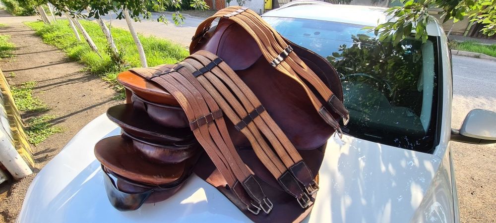 2 sei de calarie, agrement