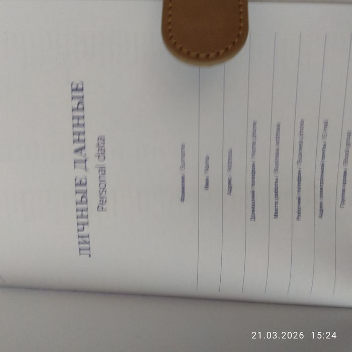 Два шикарных ежедневника