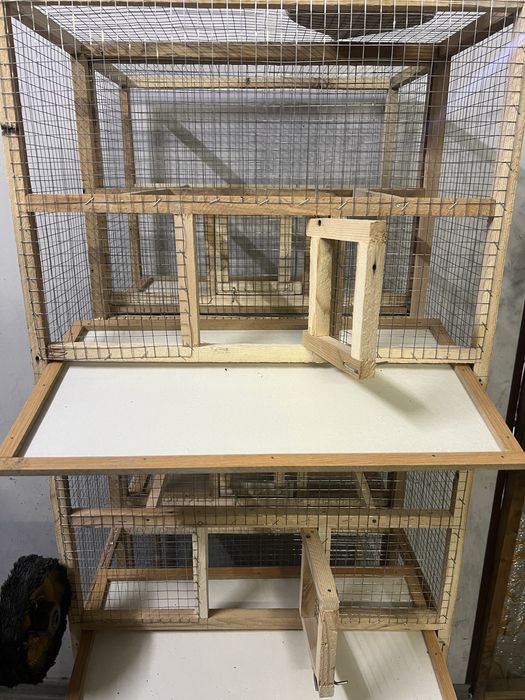 Papugay kletkalar sotiladi